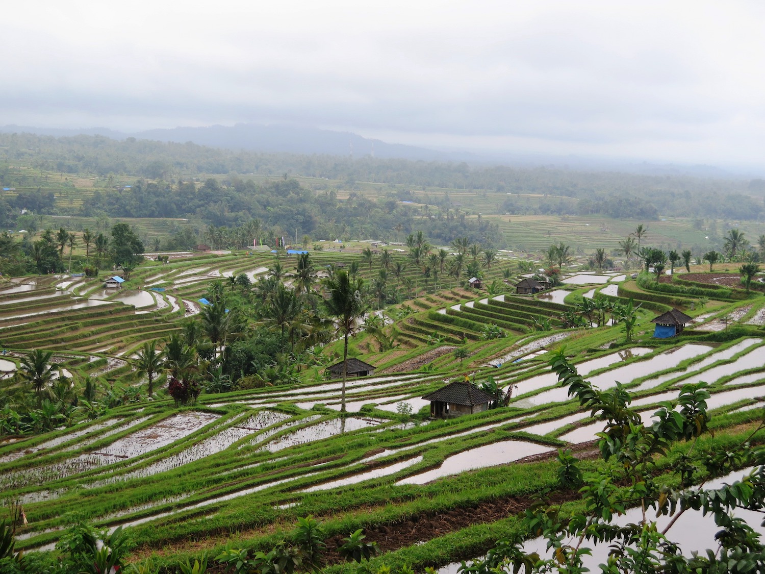 Voyage vélo Indosésie, Voyage d'Ailleurs, Panorama Lempo Tinimbayo, Bali