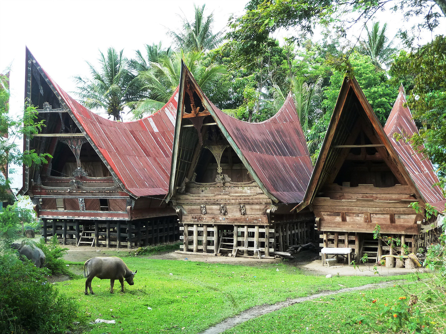 Voyage vélo Indonésie, Voyages d'Ailleurs, rumah Betang, Samosir, pays batak, Sumatra, Indonésie