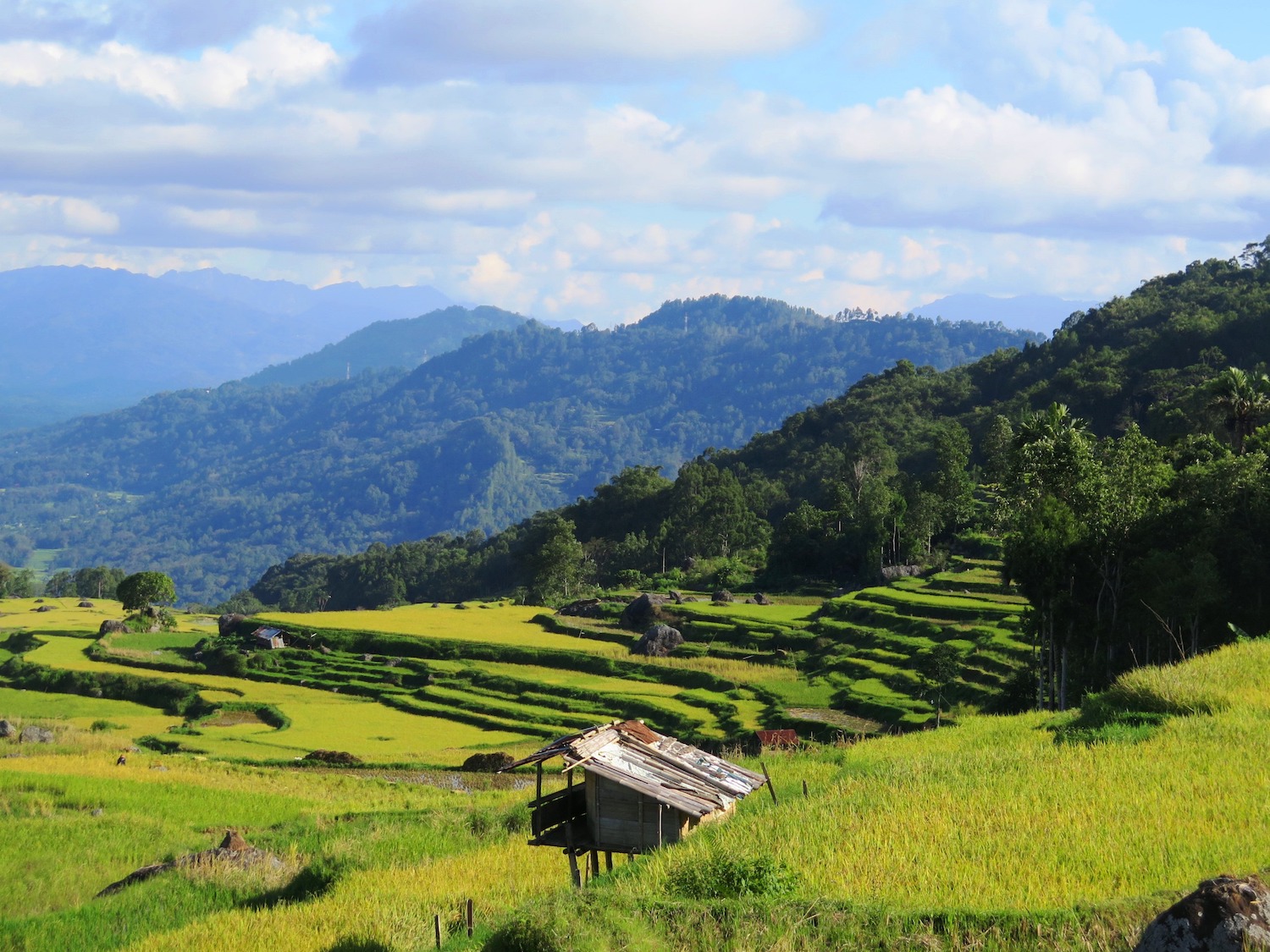 Voyage vélo Indosésie, Voyage d'Ailleurs, Panorama Lempo Tinimbayo, Sulawesi