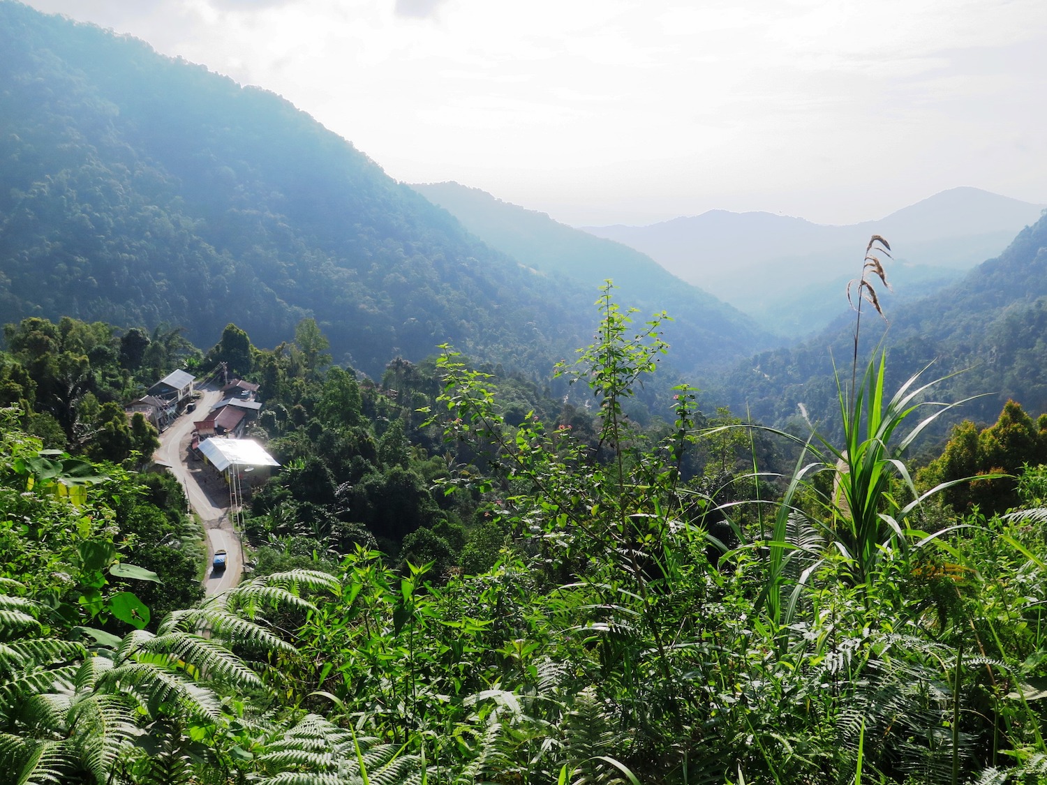 Voyage vélo Indonésie, Voyages d'Ailleurs, Rentepao, Palopo, vallée luxuriante, Sulawesi, Indonésie