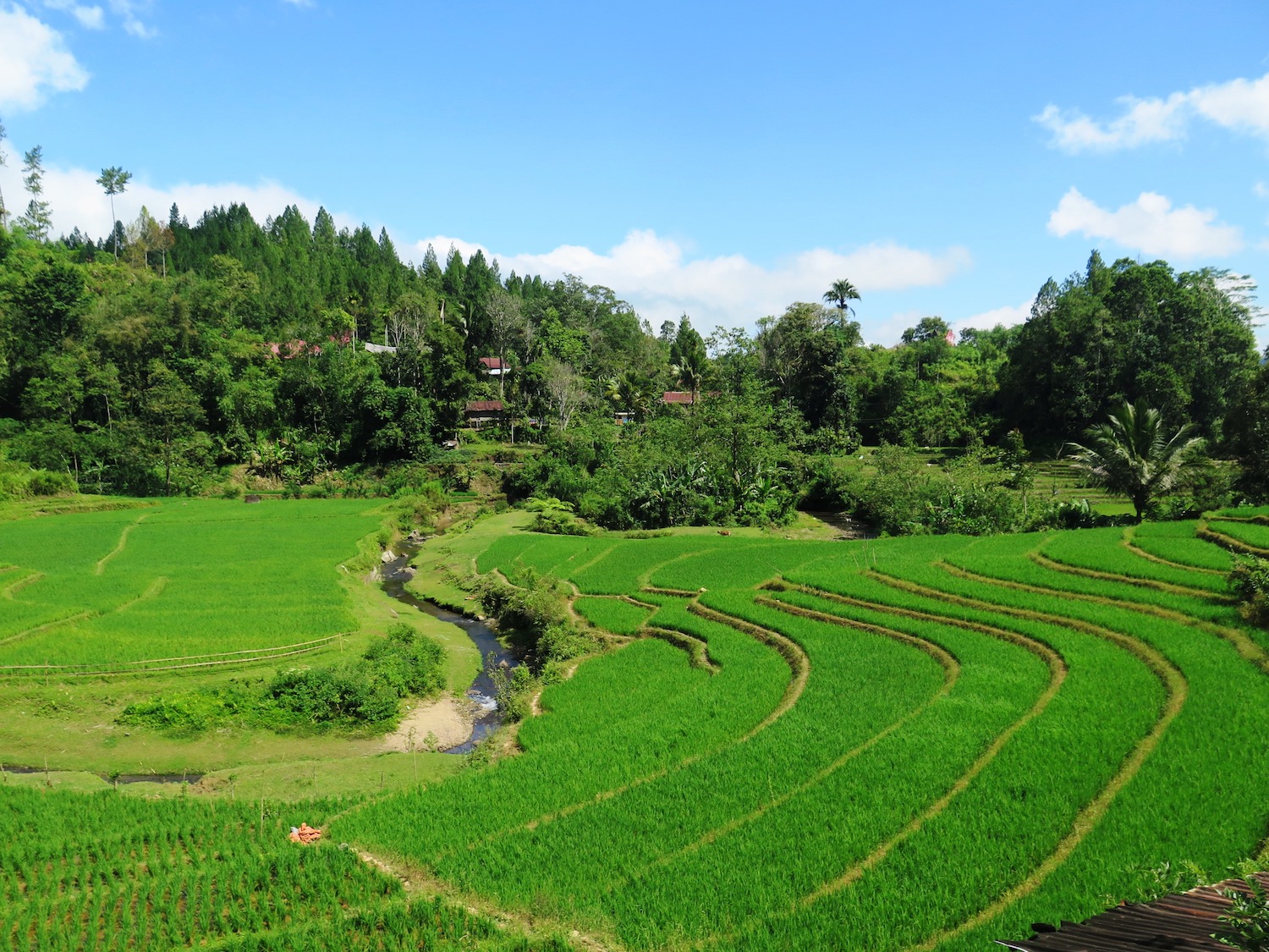 Voyage vélo Indonésie, Voyages d'Ailleurs, Rizières en terrasses, Mamasa, Sulawesi, Indonésie