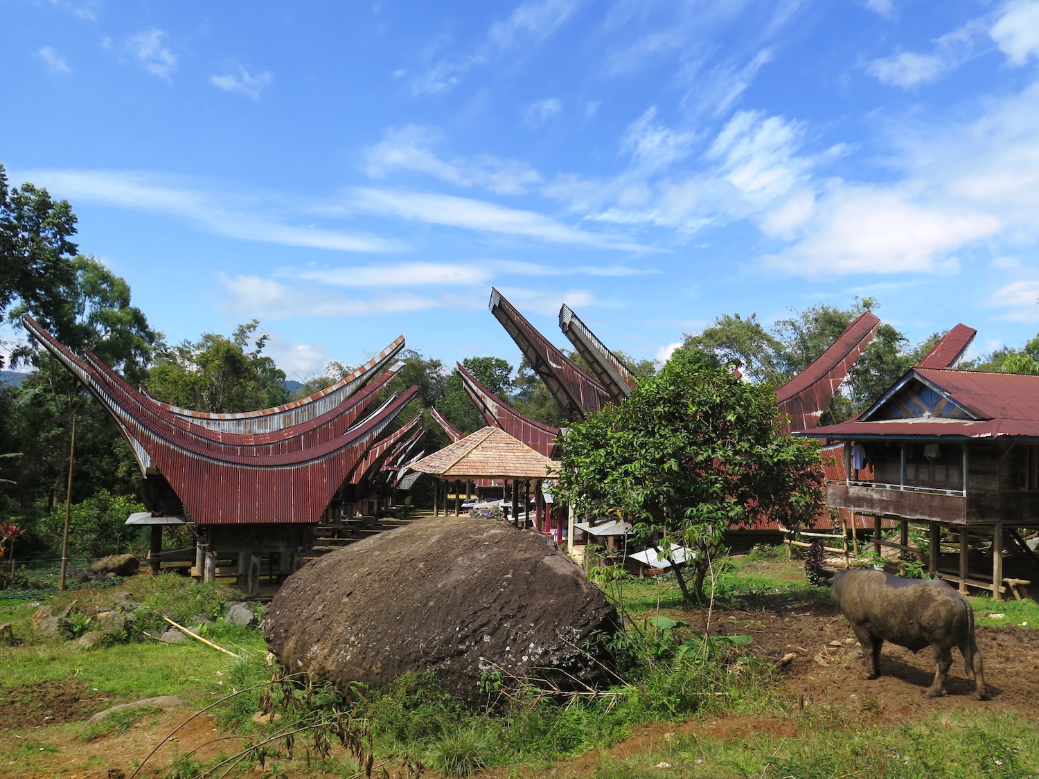 Voyage vélo Indonésie, Voyages d'Ailleurs, Tangkonan, pays Toraja, Sulawesi