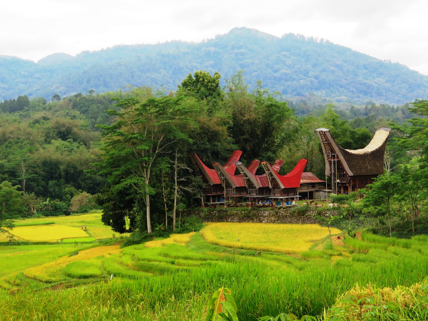 Voyage vélo Indonésie, Voyages d'Ailleurs, Tangkonan, Rantepao, Sulawesi