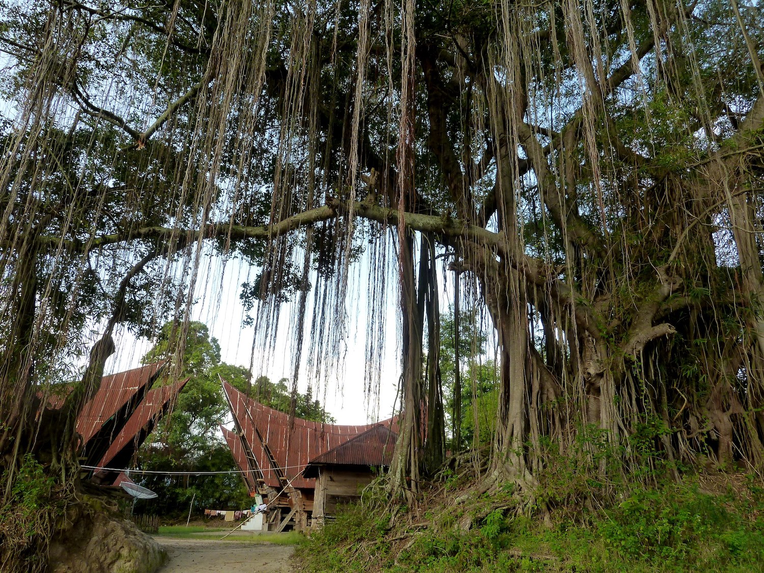 Voyage vélo Indonésie, Voyages d'Ailleurs, maisons traditionnelles batak, Samosir, Sumatra